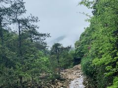 -姑婆山旅游区