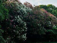 -艾溪湖湿地公园