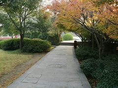 -普陀山风景名胜区-法雨禅寺