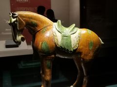 -宁夏博物馆