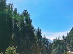-维乐口腔医院(星海湾分院)