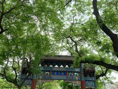-北京国子监胡同