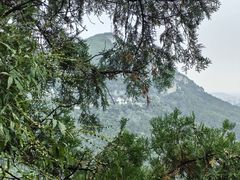 -佛慧山