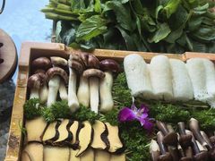 -慢丽江·云南野生菌土鸡锅(西山店)
