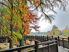 -东湖落雁景区