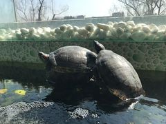 -仙林宾馆-餐厅
