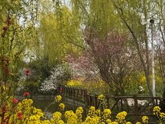 -南汇桃花村