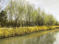 -洛阳市隋唐城遗址植物园