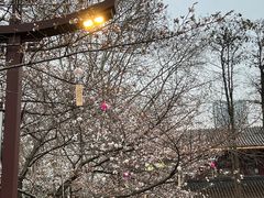 -堤角公园