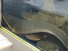 -小铜锣湾海鲜家常菜馆(河西店)