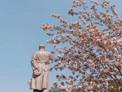 -山东师范大学(千佛山校区)