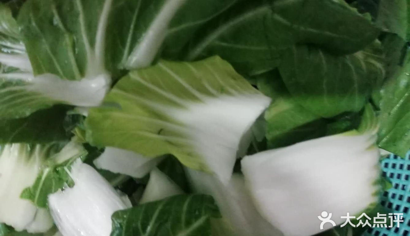 老婆婆温馨家常菜之青菜鱼丸汤