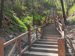 -大岭沟猕猴桃谷风景区