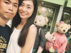 -济州岛泰迪熊博物馆