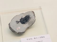 -天津自然博物馆