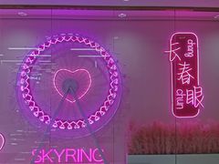 -摩天活力城·摩天轮
