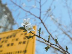 -西北湖绿化广场