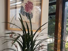 -荷风细雨·中国茶宴(碧云店)