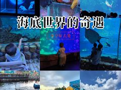 -华夏文旅海洋公园