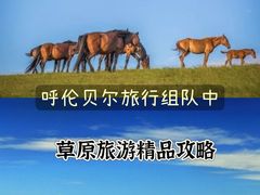 -呼伦贝尔大草原