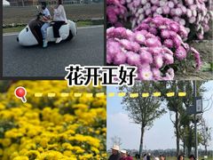 -中国天府农业博览园