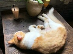 -老屋咖啡