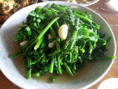 青炒油菜花-老根农家饭店