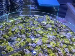 -聚盛源蒸汽海鲜火锅烤肉自助(巨川金海岸购物广场店)