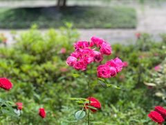 -杭州西湖柳莺里酒店·闻莺厅