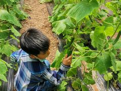 -万源龙顺度假庄园生态观光园