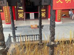 -东莞市大岭山森林公园
