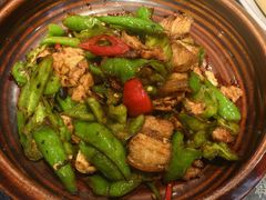 -甘家界牌柠檬鸭(青山店)