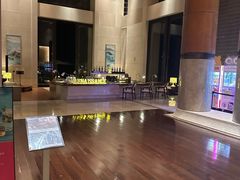 -逸廊大堂吧(三亚海棠湾万丽度假酒店)