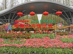 -东平国家森林公园