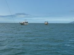 -小猫钓鱼海钓俱乐部(椰梦长廊店)