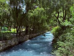 -九寨沟-树正沟