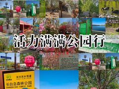 -长白岛森林公园
