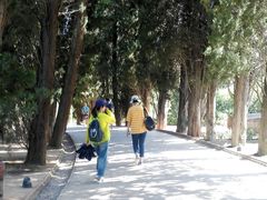 -阿尔罕布拉宫