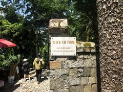 -莫干山风景区