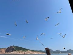 -海驴岛(荣成市)