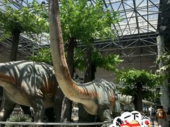 -国家自然博物馆