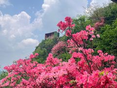 -木兰云雾山