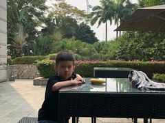-新加坡丽思卡尔顿美年酒店