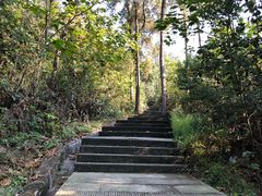 -铁山坪森林公园