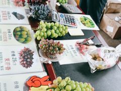 -马陆小张葡萄园农家乐