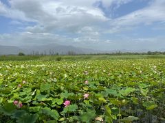-野鸭湖国家湿地公园