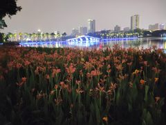 -南宁南湖公园