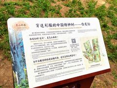 -香山公园
