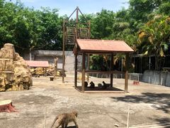 -广东茂名森林公园