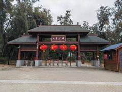 -大京沙滩